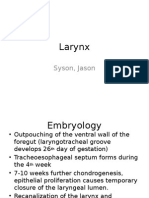 Larynx: Syson, Jason
