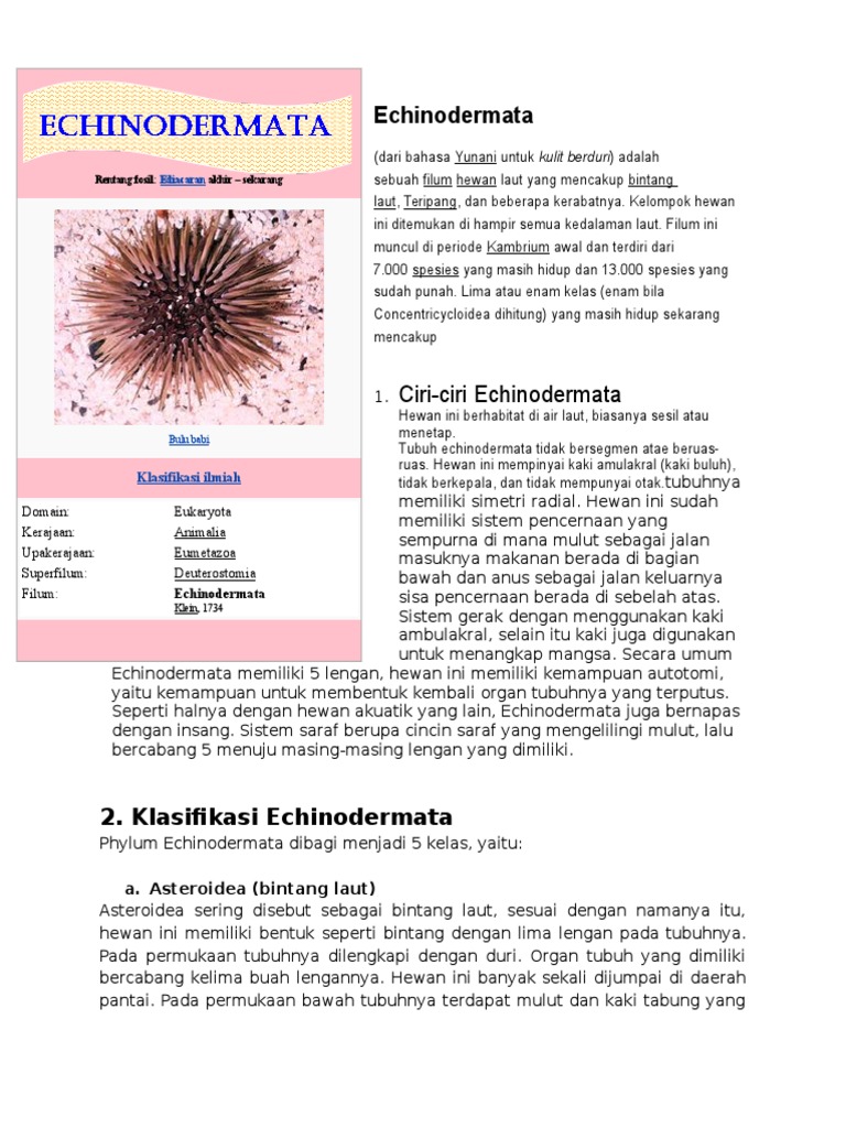 82+ Gambar Hewan Echinodermata Dan Namanya HD Terbaik