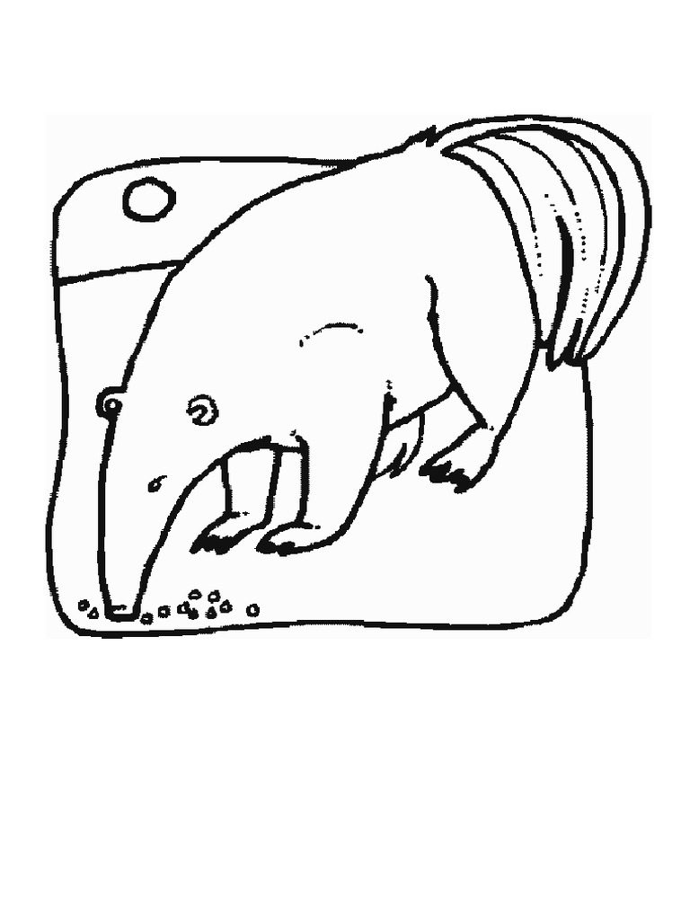 Zoo Animals Coloring Book | PDF