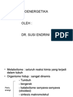 Kuliah - Biokim - Bioenergetika (Printed)