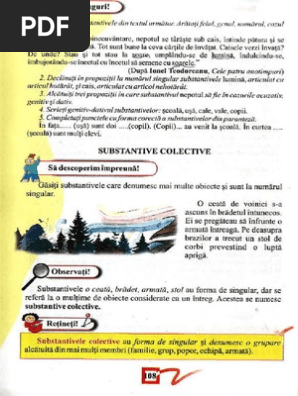 Manual De Limba Si Literatura Romana Cls A 6 A Vol 2 Business