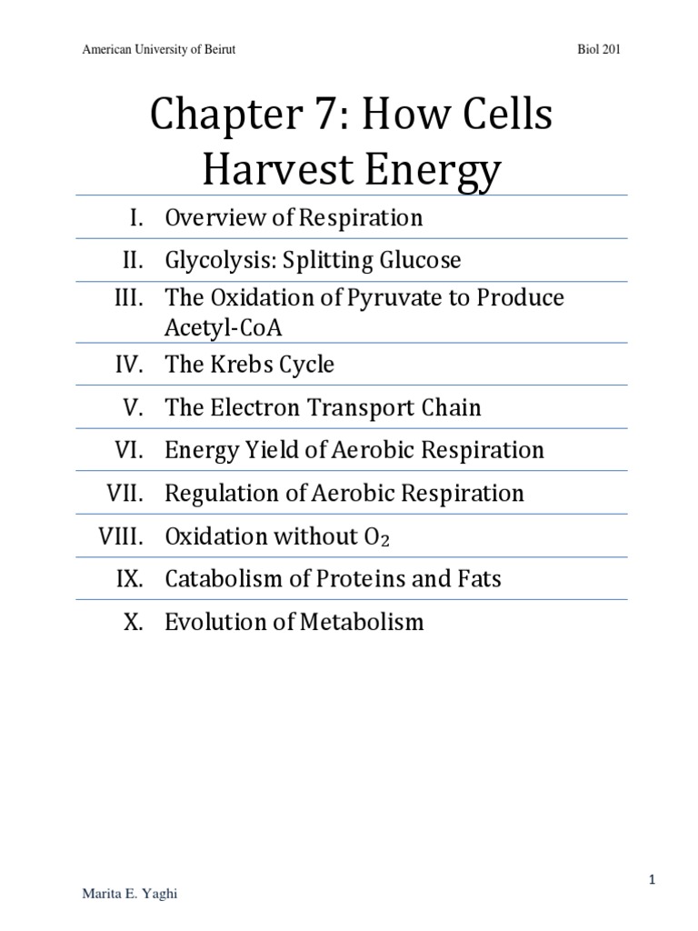 Cellular Respiration and Energy Harvesting | PDF | Cellular Respiration ...
