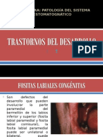 Clase Anomalias Desarrollo Estructuras Bucales y Dentarias