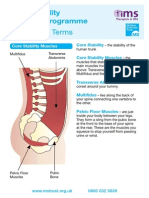 Core Stability Exercise Programme 2011 Update