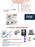 c5 Redes Neuronales