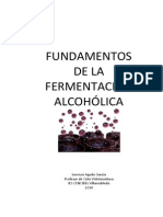 Fundamentosdelafermentacinalcohlica 141007141158 Conversion Gate01