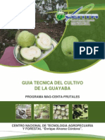 Guia Cultivo Guayaba2011