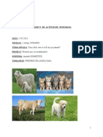 0 - Plan - Inspectie Animale Domestice