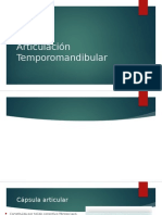 Articulación Temporomandibular y Movimientos.