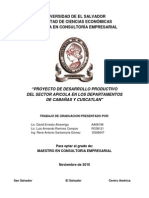 Proyecto de Desarrollo Productivo del sector apícola en los departamentos de Cabañas y Cuscatlan