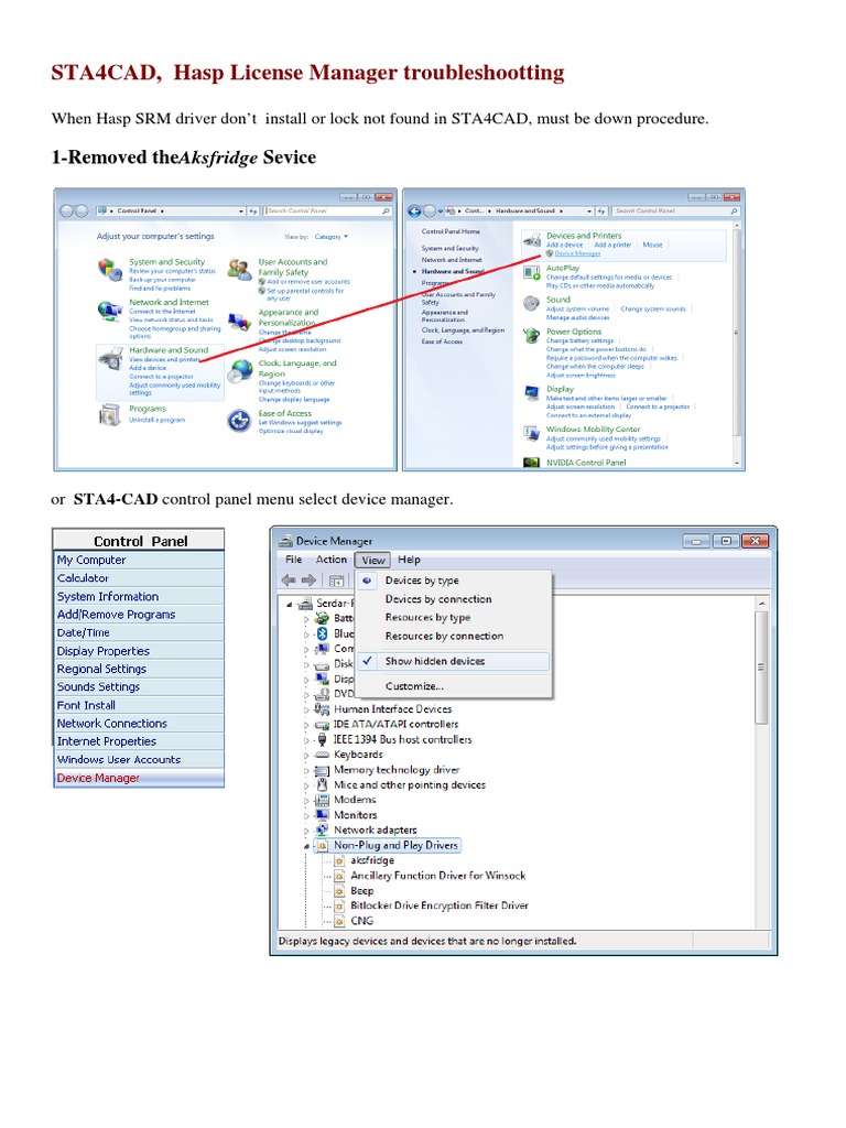 Hasp License Manager Troubleshooting Guide | PDF | Business