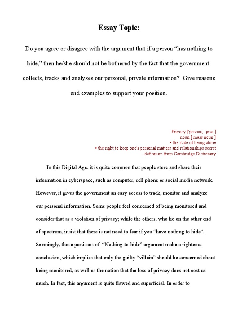 Data security essay picture