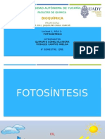 ADA2 Fotosíntesis