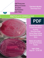 Practica 8 Coprocultivo