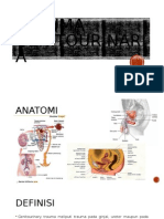 Trauma Genitourinaria