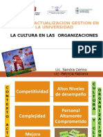 Cultura Organizacional Curso de Gestión