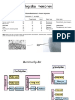 Biologiska Membran