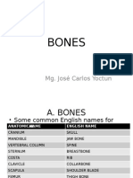 Bones: Mg. José Carlos Yoctun