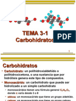 Tema 3-1 Carbihidratos