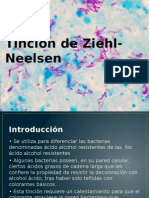 Tinción de Ziehl-Neelsen