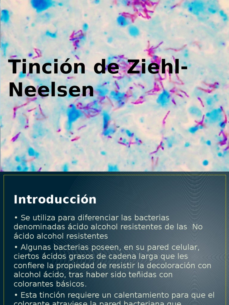 tinci-n-de-ziehl-neelsen-pdf