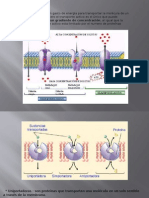 Exposición Microbiología