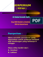 K11-Fisiologi Nifas