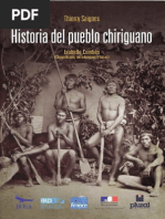 Historia Chiriguanos