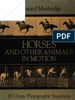 Edweard.Muybridge_AnimalsinMotion.pdf