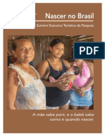 Inquérito Nacional Sobre Parto e Nascimento - Nascer No Brasil