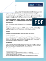 Fiebre Chikungunya Argentina 11-07-2014