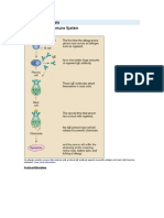 Disorders of The Immune System