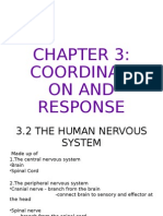 Chapter 3-Coordination and Response