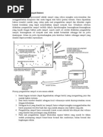 Download Cara Pengambilan Sampel Bakteri by Erna Libya SN283691238 doc pdf