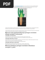 Download Jaringan Tumbuhan by Azwar Sutiono SN283696509 doc pdf