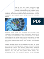 Nukleoid Adalah Wilayah Sel Yang Berisi Materi DNA Primer
