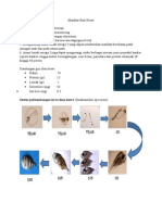 Download Manfaat Ikan Kuwe by rizkafsorigi SN283703910 doc pdf