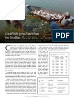 Catfish Production in India: Present Status and Prospects