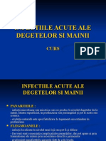 Curs_01_-_Infecțiile_acute_ale_degetelor_şi_mâinii[1] (1).ppt