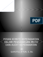 Audit Keperawatan