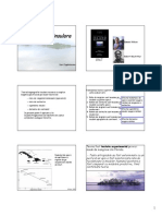 Biogeografie Insulara PDF