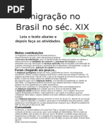 Imigração No Brasil No Séc XIX