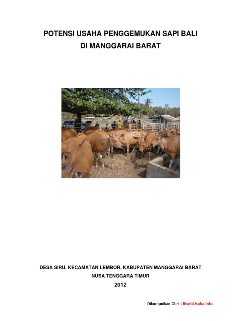Proposal Usaha Sapi Potong | PDF