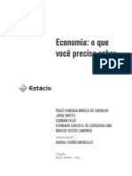 Livro Proprietario - Fundamentos de Economia