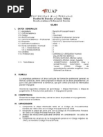 Syllabus Derecho Procesal Penal II Derecho Uap