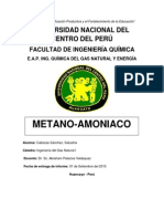 INFORME METANO-AMONIACO-CABEZAS.pdf