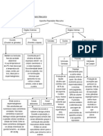 Sistema reprodutor masculino