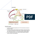 Controlo Hormonal Homem e Mulher