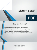 Sistem Saraf