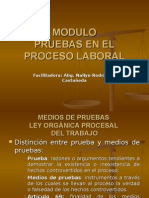 Diapositivas Modulo Pruebas en El Proceso Laboral
